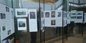 Inaguración de la exposición "Mestres del Pinzell"