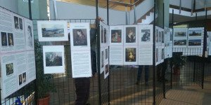 Inaguración de la exposición "Mestres del Pinzell"